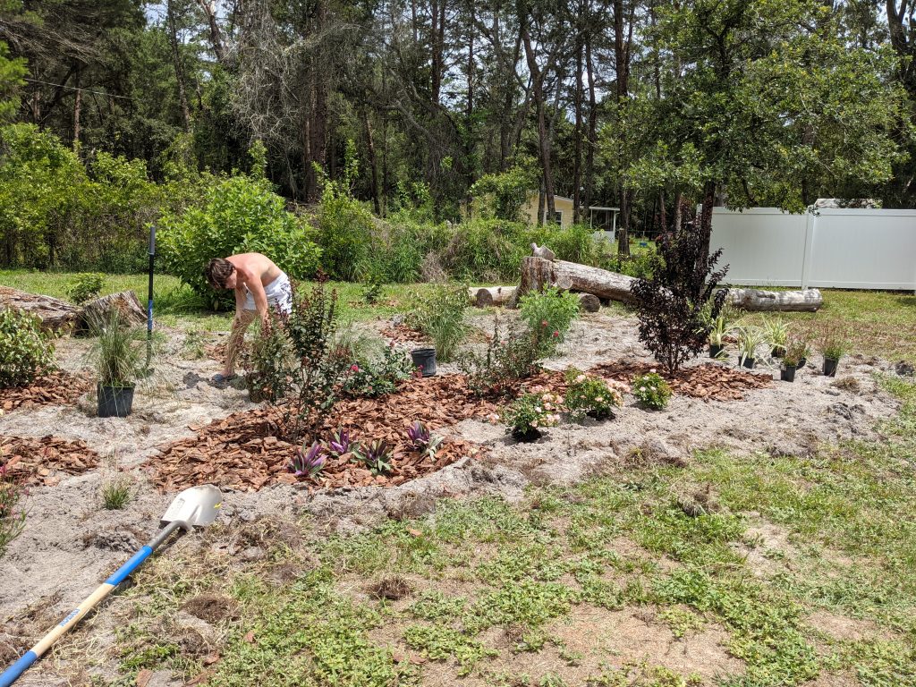 Laying out the new sun garden in central Florida heat