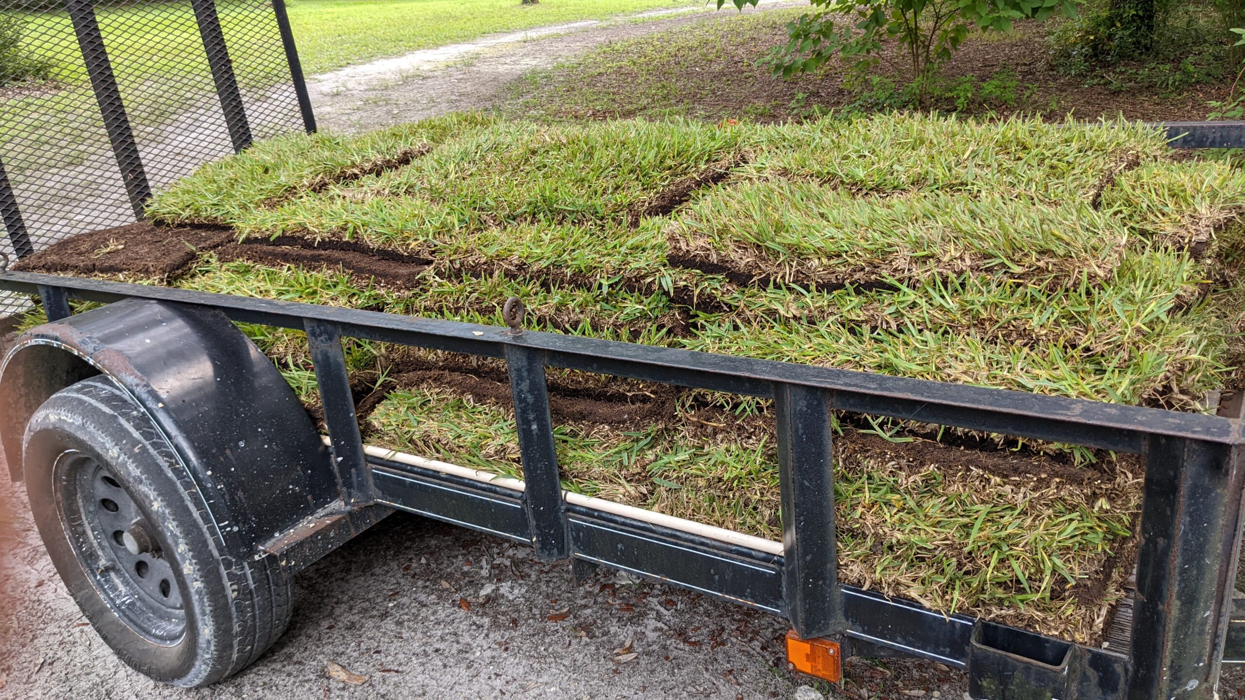 circle lawn st. augustine grass lawn sod on trailer (12 a palette or 230 sq. feet)