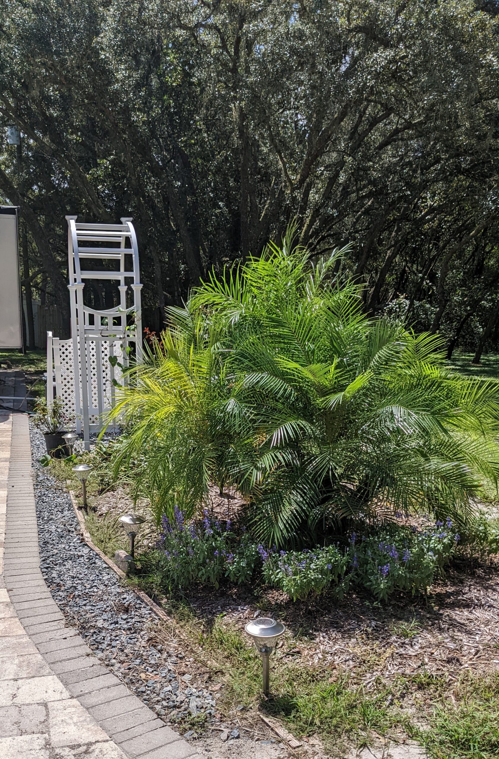 after rv pad landscaping