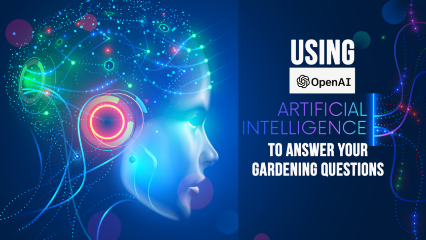 using chatgtp artificail intelligence to answer your gardening questions