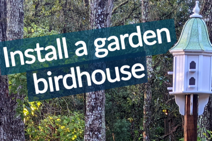installing a new wayfair birdhouse