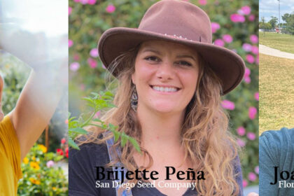 youtube influencers blue house florals, san diego seed company, florida cottage garden