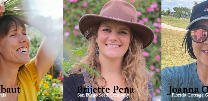 youtube influencers blue house florals, san diego seed company, florida cottage garden