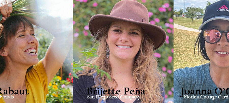 youtube influencers blue house florals, san diego seed company, florida cottage garden